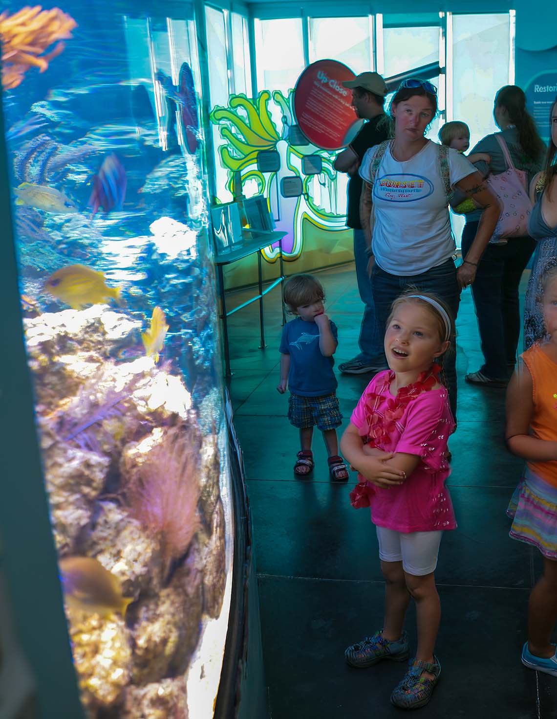 Florida Keys Eco-Discovery Center